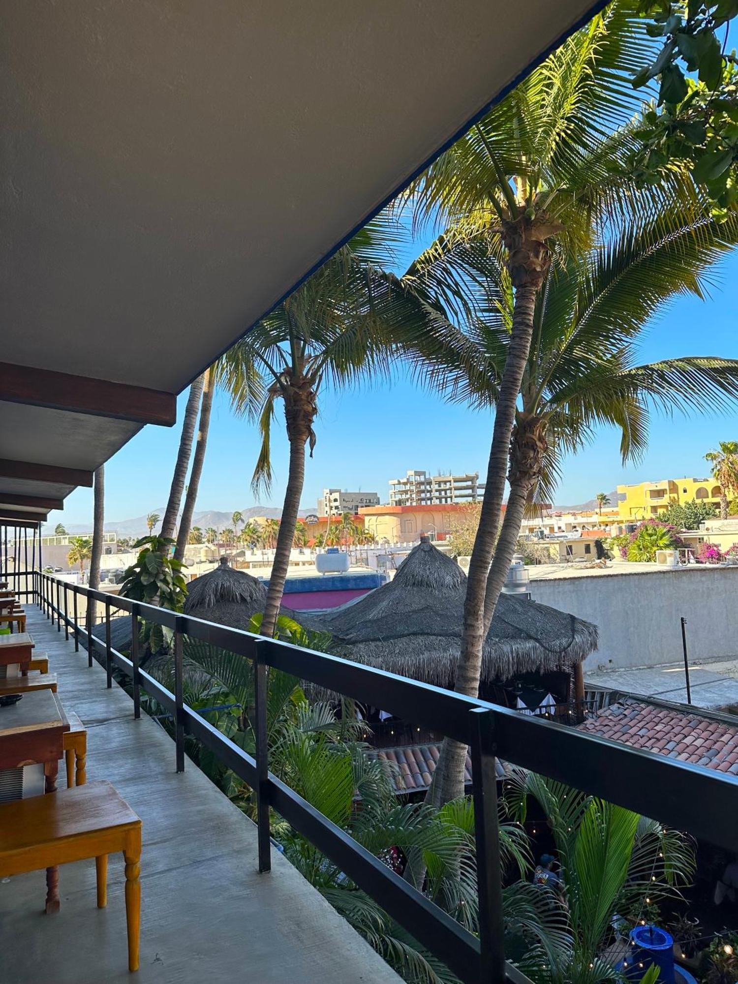 Siesta Suites Boutique Hotel Cabo San Lucas Eksteriør bilde