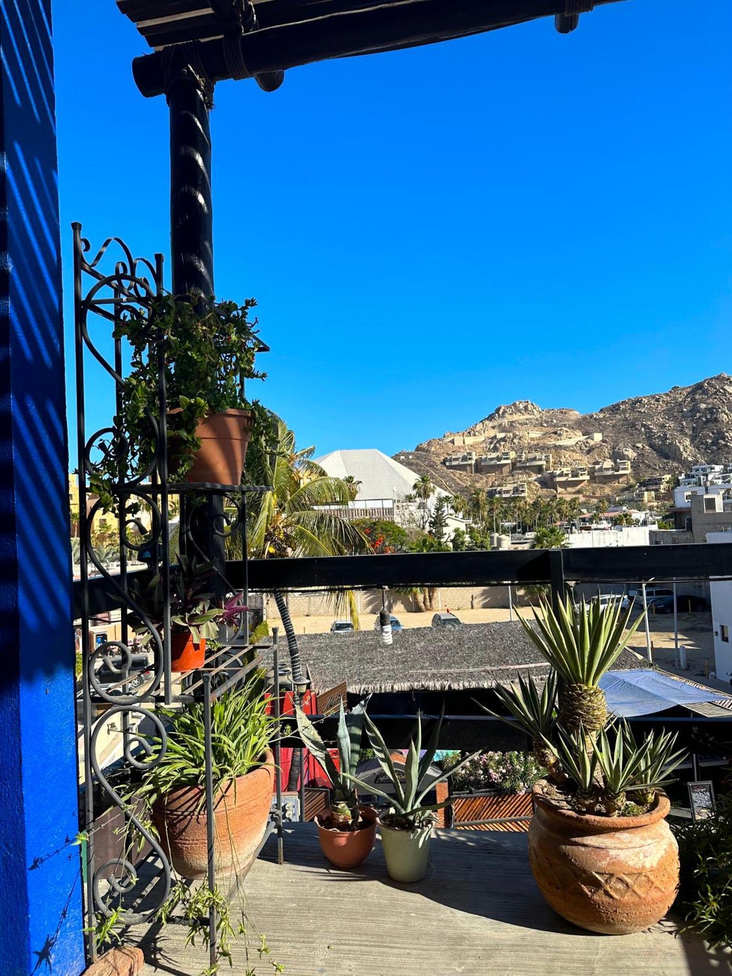 Siesta Suites Boutique Hotel Cabo San Lucas Eksteriør bilde