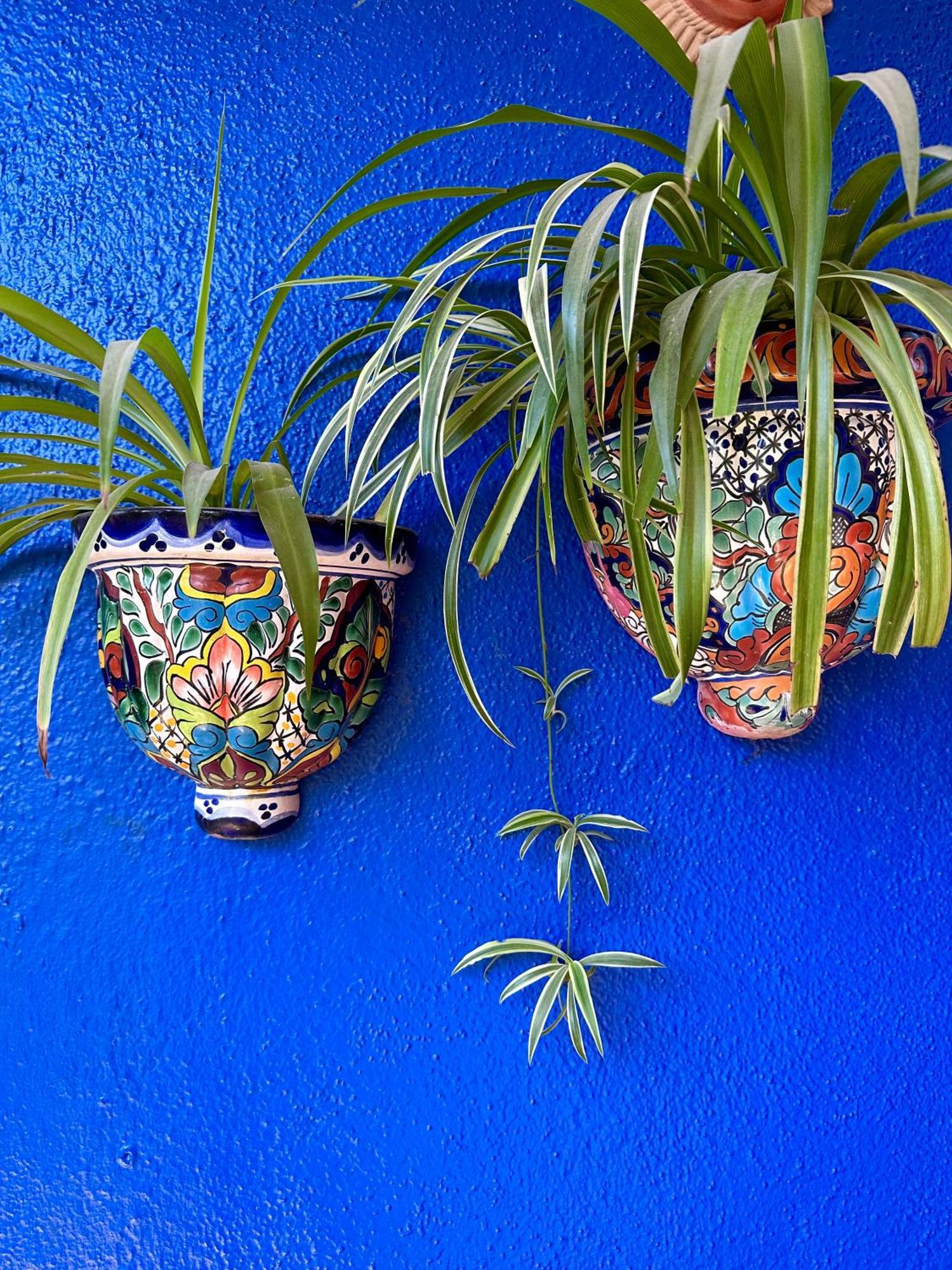 Siesta Suites Boutique Hotel Cabo San Lucas Eksteriør bilde