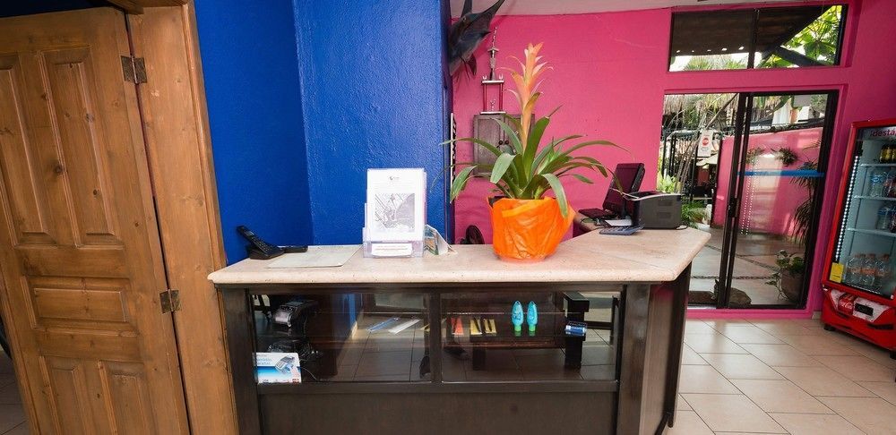 Siesta Suites Boutique Hotel Cabo San Lucas Eksteriør bilde